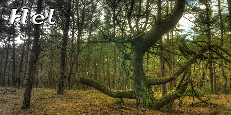 Hel, pocztówki z Helu, Port Hel, Nadmorski Park Krajobrazowy