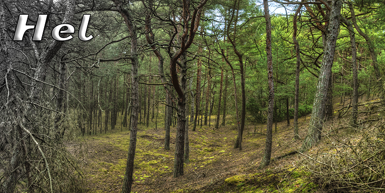 Hel, pocztówki z Helu, Port Hel, Nadmorski Park Krajobrazowy