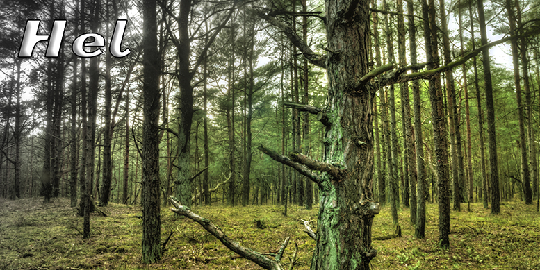 Hel, poczt�wki z Helu, Port Hel, Nadmorski Park Krajobrazowy